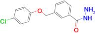 3-(4-Chloro-phenoxymethyl)-benzoic acid hydrazide