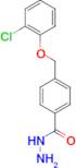 4-(2-Chloro-phenoxymethyl)-benzoic acid hydrazide