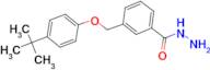 3-(4- tert -Butyl-phenoxymethyl)-benzoic acid hydrazide