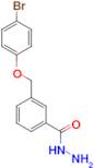 3-(4-Bromo-phenoxymethyl)-benzoic acid hydrazide