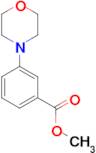 3-Morpholin-4-yl-benzoic acid methyl ester