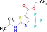 2-Isopropylamino-4-trifluoromethyl-thiazole-5-carboxylic acid ethyl ester