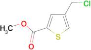 4-Chloromethyl-thiophene-2-carboxylic acid methylester