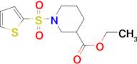 1-(Thiophene-2-sulfonyl)-piperidine-3-carboxylic acid ethyl ester