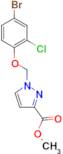 1-(4-Bromo-2-chloro-phenoxymethyl)-1 H -pyrazole-3-carboxylic acid methyl ester