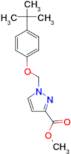 1-(4- tert -Butyl-phenoxymethyl)-1 H -pyrazole-3-carboxylic acid methyl ester