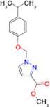 1-(4-Isopropyl-phenoxymethyl)-1 H -pyrazole-3-carboxylic acid methyl ester