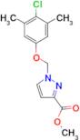 1-(4-Chloro-3,5-dimethyl-phenoxymethyl)-1 H -pyrazole-3-carboxylic acid methyl ester