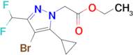 (4-Bromo-5-cyclopropyl-3-difluoromethyl-pyrazol-1-yl)-acetic acid ethyl ester