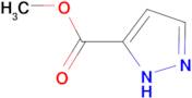 1H-Pyrazole-5-carboxylic acid methyl ester