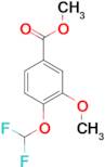 4-Difluoromethoxy-3-methoxy-benzoic acid methyl ester