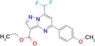 7-Difluoromethyl-5-(4-methoxy-phenyl)-pyrazolo[1,5- a ]pyrimidine-3-carboxylic acid ethyl ester