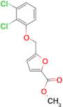 5-(2,3-Dichloro-phenoxymethyl)-furan-2-carboxylic acid methyl ester