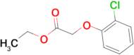 (2-Chloro-phenoxy)-acetic acid ethyl ester