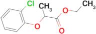 2-(2-Chloro-phenoxy)-propionic acid ethyl ester