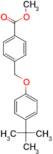 4-(4- tert -Butyl-phenoxymethyl)-benzoic acid methyl ester