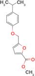 5-(4-Isopropyl-phenoxymethyl)-furan-2-carboxylic acid methyl ester