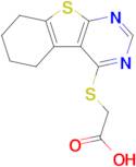 (5,6,7,8-Tetrahydro-benzo[4,5]thieno[2,3- d ]pyrimidin-4-ylsulfanyl)-acetic acid