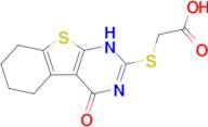 (4-Oxo-3,4,5,6,7,8-hexahydro-benzo[4,5]thieno[2,3- d ]pyrimidin-2-ylsulfanyl)-acetic acid