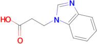 3-Benzoimidazol-1-yl-propionic acid