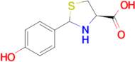 (R)-2-(4-Hydroxy-phenyl)-thiazolidine-4-carboxylic acid