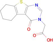 2-(4-Oxo-5,6,7,8-tetrahydrobenzo[4,5]thieno[2,3-d]pyrimidin-3(4H)-yl)acetic acid