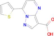 7-Thiophen-2-yl-pyrazolo[1,5- a ]pyrimidine-3-carboxylic acid