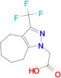 (3-Trifluoromethyl-5,6,7,8-tetrahydro-4 H -cycloheptapyrazol-1-yl)-acetic acid