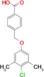 4-(4-Chloro-3,5-dimethyl-phenoxymethyl)-benzoic acid