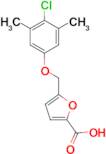 5-(4-Chloro-3,5-dimethyl-phenoxymethyl)-furan-2-carboxylic acid