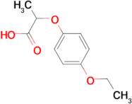2-(4-Ethoxy-phenoxy)-propionic acid