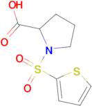 1-(Thiophene-2-sulfonyl)-pyrrolidine-2-carboxylic acid