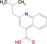 2-Isobutyl-quinoline-4-carboxylic acid