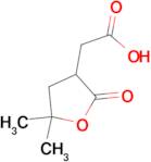 (5,5-Dimethyl-2-oxo-tetrahydro-furan-3-yl)-acetic acid