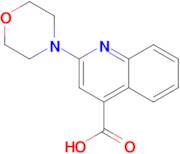 2-Morpholin-4-yl-quinoline-4-carboxylic acid