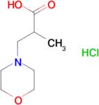 2-Methyl-3-morpholin-4-yl-propionic acid hydrochloride