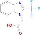 (2-Trifluoromethyl-benzoimidazol-1-yl)-acetic acid