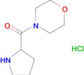 Morpholin-4-yl-pyrrolidin-2-yl-methanone hydrochloride