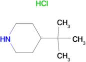 4- tert -Butyl-piperidine hydrochloride