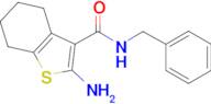 2-Amino-4,5,6,7-tetrahydro-benzo[ b ]thiophene-3-carboxylic acid benzylamide