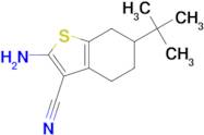 2-Amino-6- tert -butyl-4,5,6,7-tetrahydro-benzo[ b ]thiophene-3-carbonitrile