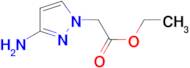 (3-Amino-pyrazol-1-yl)-acetic acid ethyl ester