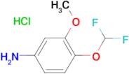 4-(Difluoromethoxy)-3-methoxyaniline hydrochloride