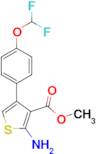 2-Amino-4-(4-difluoromethoxy-phenyl)-thiophene-3-carboxylic acid methyl ester