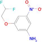 3-(2,2-Difluoro-ethoxy)-5-nitro-phenylamine