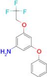 3-Phenoxy-5-(2,2,2-trifluoro-ethoxy)-phenylamine