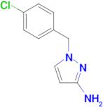 1-(4-Chloro-benzyl)-1H -pyrazol-3-ylamine