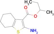 2-Amino-4,5,6,7-tetrahydro-benzo[ b ]thiophene-3-carboxylic acid sec -butyl ester