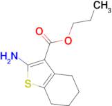 2-Amino-4,5,6,7-tetrahydro-benzo[ b ]thiophene-3-carboxylic acid propyl ester