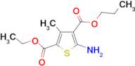 5-Amino-3-methyl-thiophene-2,4-dicarboxylic acid 2-ethyl ester 4-propyl ester